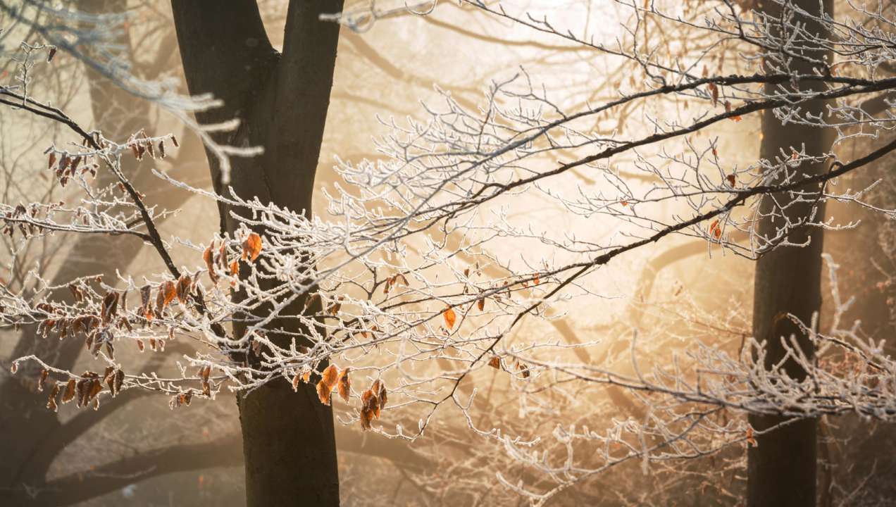 Погода в Україні на 17 листопада/Фото: Unsplash Погода в Україні на 17 листопада