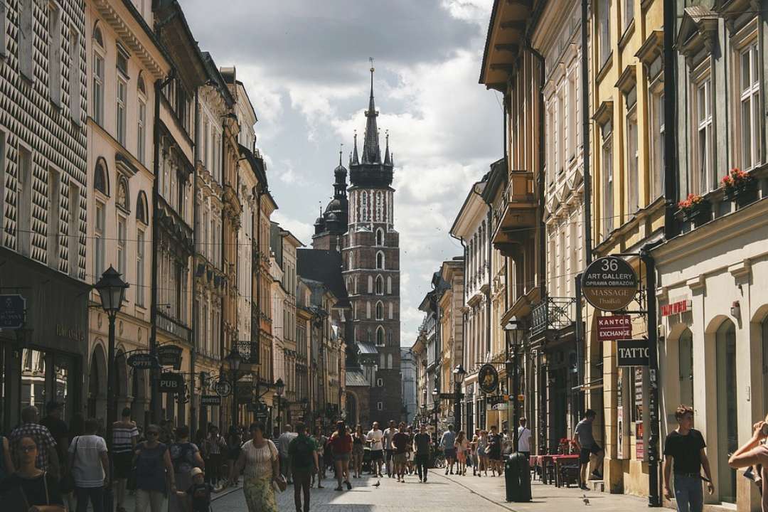 У Польщі перевіряють порушення під час імпорту українського зерна / Фото: Pixabay У Польщі розслідують ймовірні порушення під час імпорту українського зерна