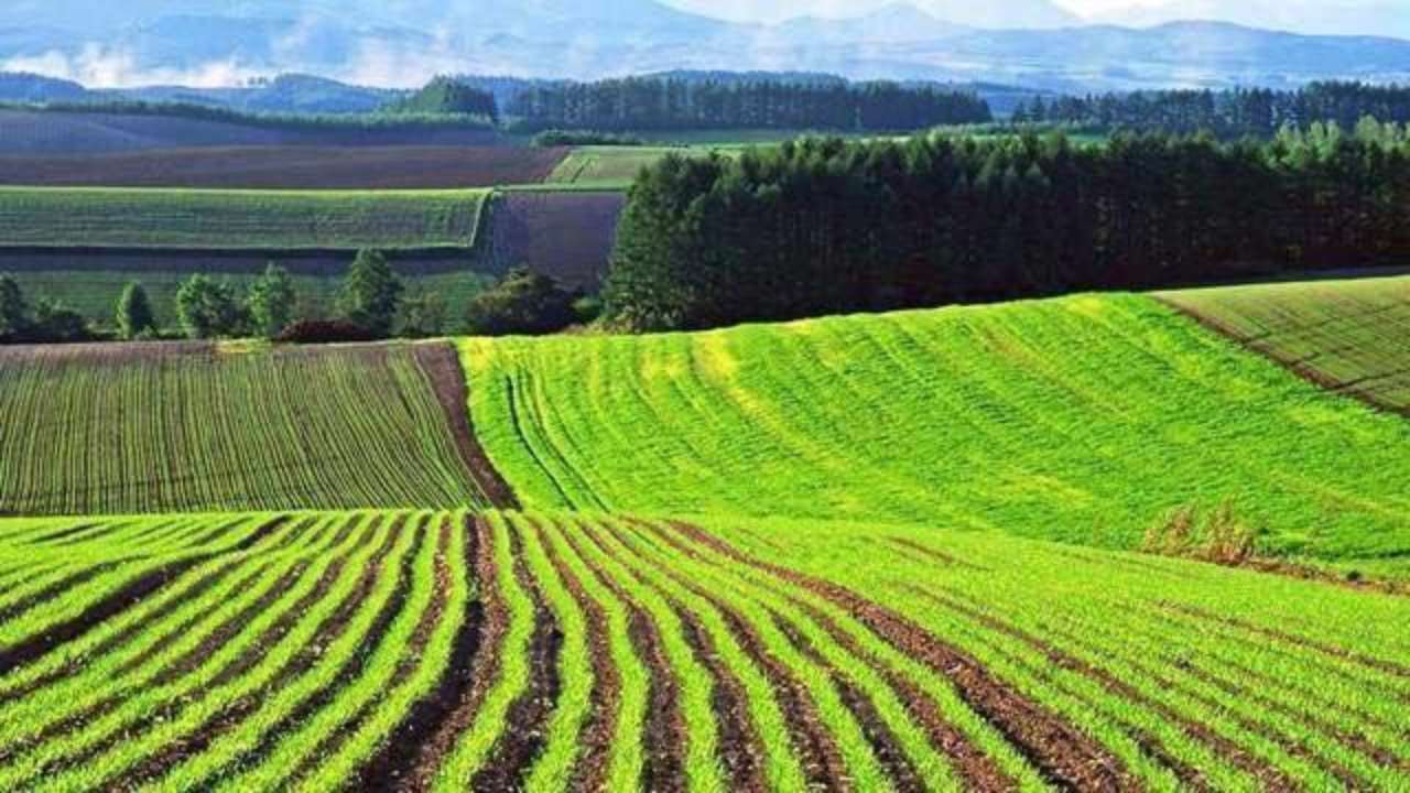 На Прикарпатті прокурори повернули державі особливо цінні землі