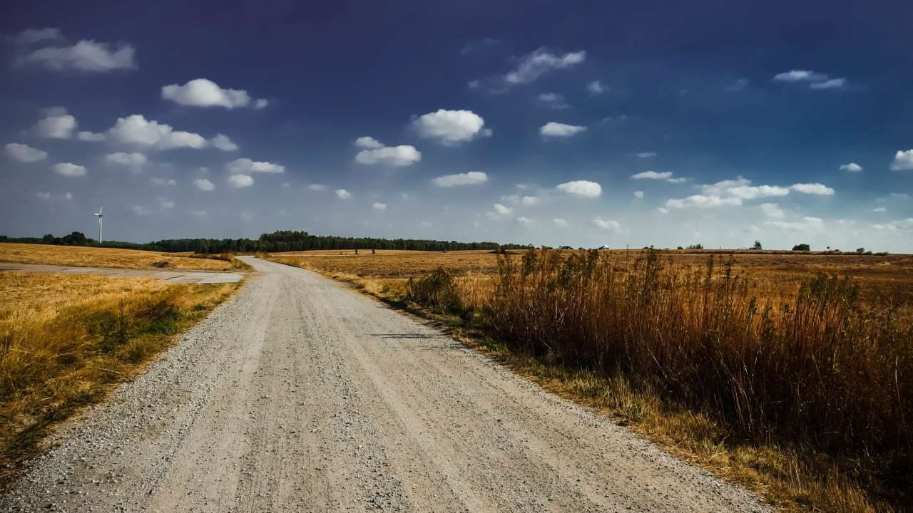 Дослідники порахували, скільки посівних площ Україна втратила внаслідок російської агресії