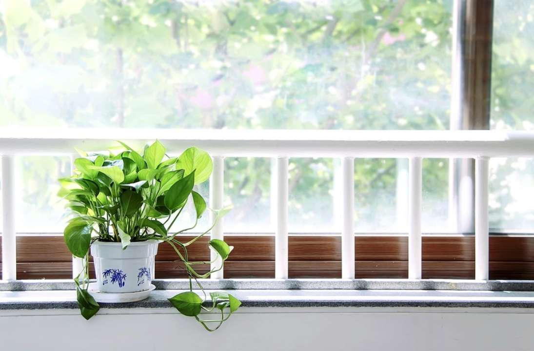 Как вернуть белоснежную чистоту подоконнику: простой и дешевый лайфхак