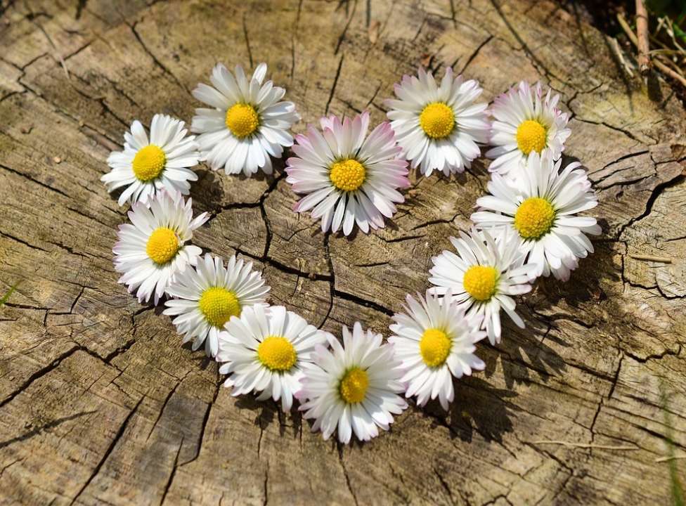 Прогноз погоды на 24 марта / Фото: Pixabay Температура может достичь +20: прогноз погоды на 24 марта