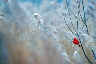 Приметы на 21 ноября / Фото: Pixabay Не мойте голову: приметы не 21 ноября