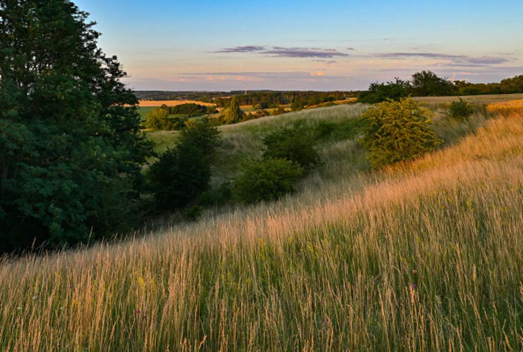 7 июля у Украины праздник/Фото: Getty images