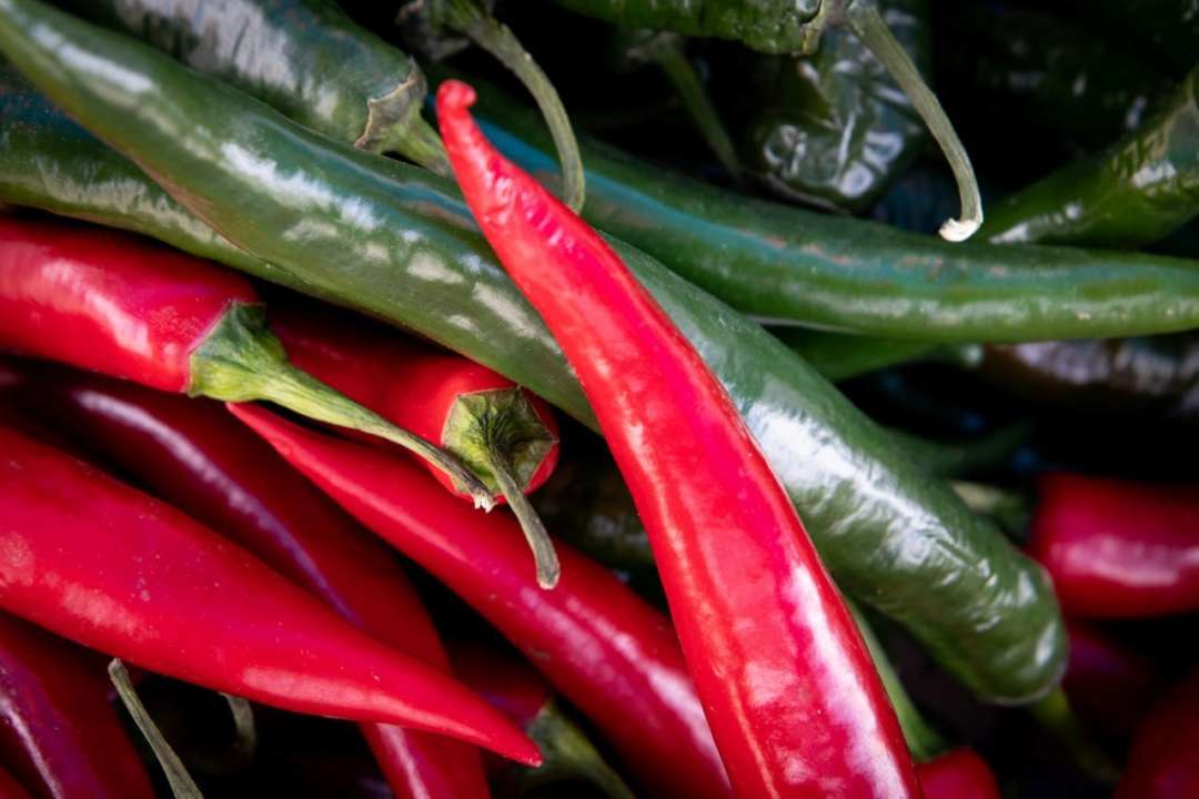 В Киеве пройдут продуктовые ярмарки / Фото: t.me/KyivCityOfficial В Киеве пройдут продуктовые ярмарки / Фото: t.me/KyivCityOfficial