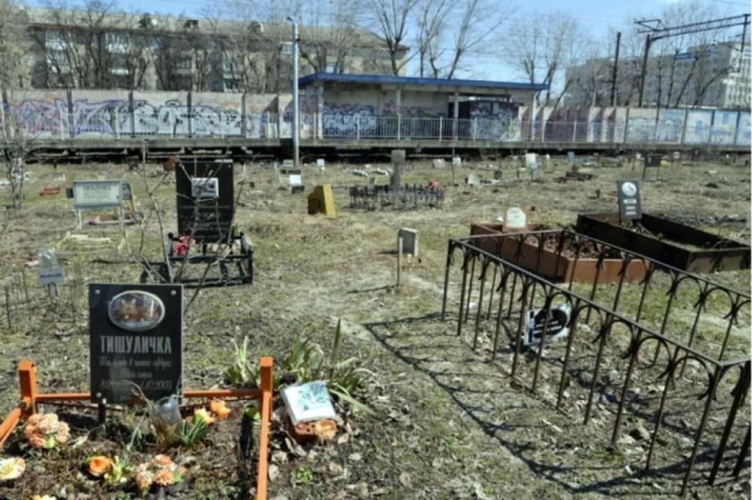 Петиція про створення офіційного кладовища домашніх тварин у Києві не зібрала необхідних голосів/Фото: petition.kyivcity.gov.ua Петиція про створення офіційного кладовища домашніх тварин у Києві не зібрала необхідних голосів