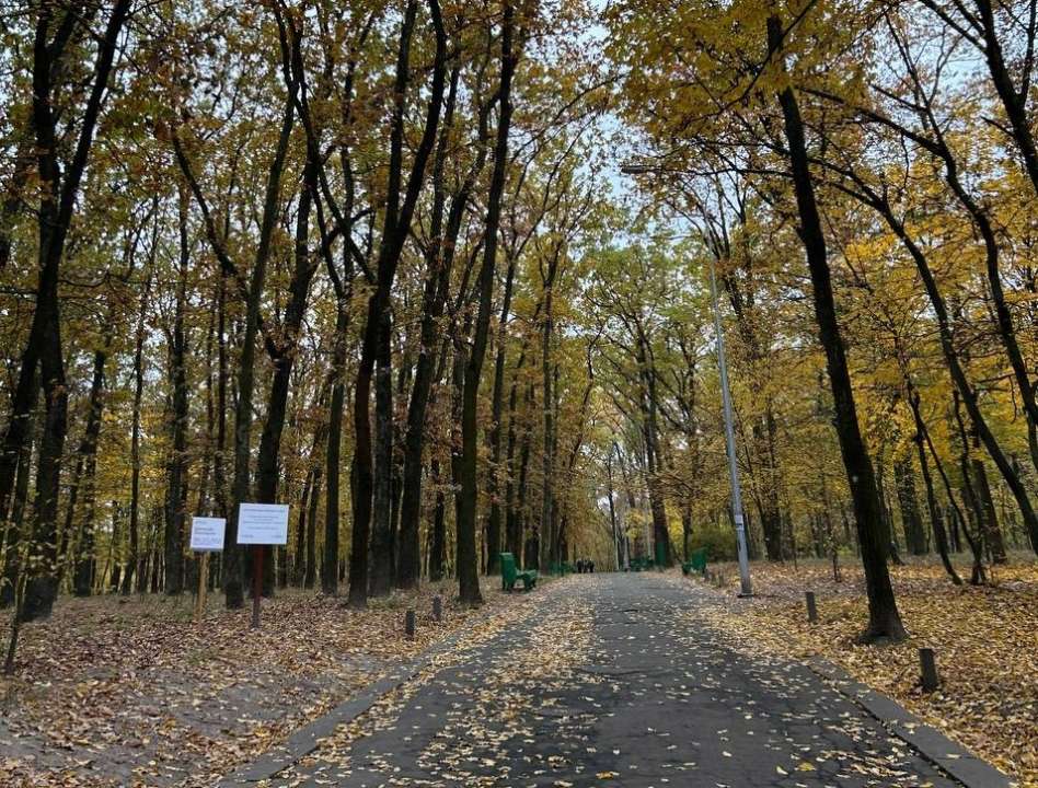Завтра порывы северо-западного и западного ветра могут достигать штормовых порывов до 15-20 метров в секунду Завтра порывы северо-западного и западного ветра могут достигать штормовых порывов до 15-20 метров в секунду