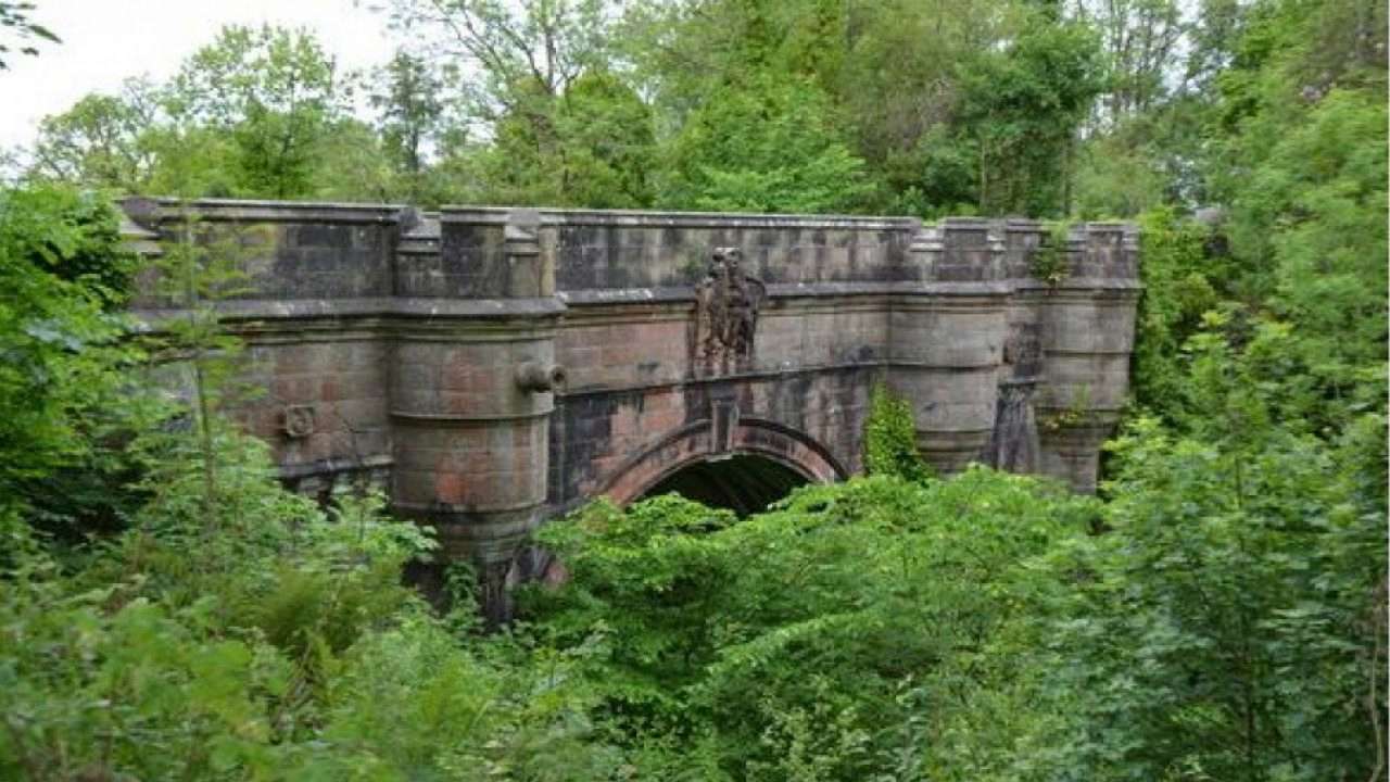 В Шотландии собаки кончают жизнь, прыгая с моста