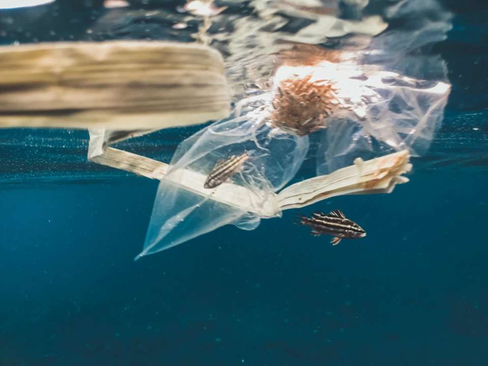 Фото: Unsplash/Автор Naja Bertolt Jensen пластик