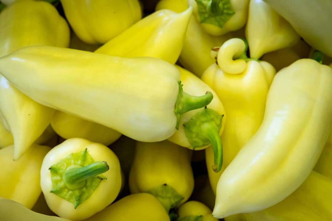 Власти Киева анонсировали продуктовые ярмарки / Фото: t.me/KyivCityOfficial Власти Киева анонсировали продуктовые ярмарки / Фото: t.me/KyivCityOfficial