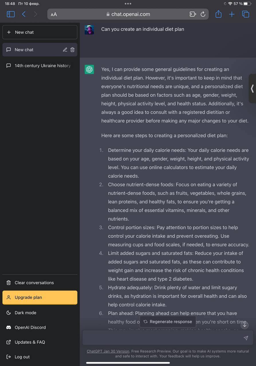 ChatGPT может разрабатывать планы / Фото: screenshot Что такое ChatGPT и как он работает: возможности и примеры использования