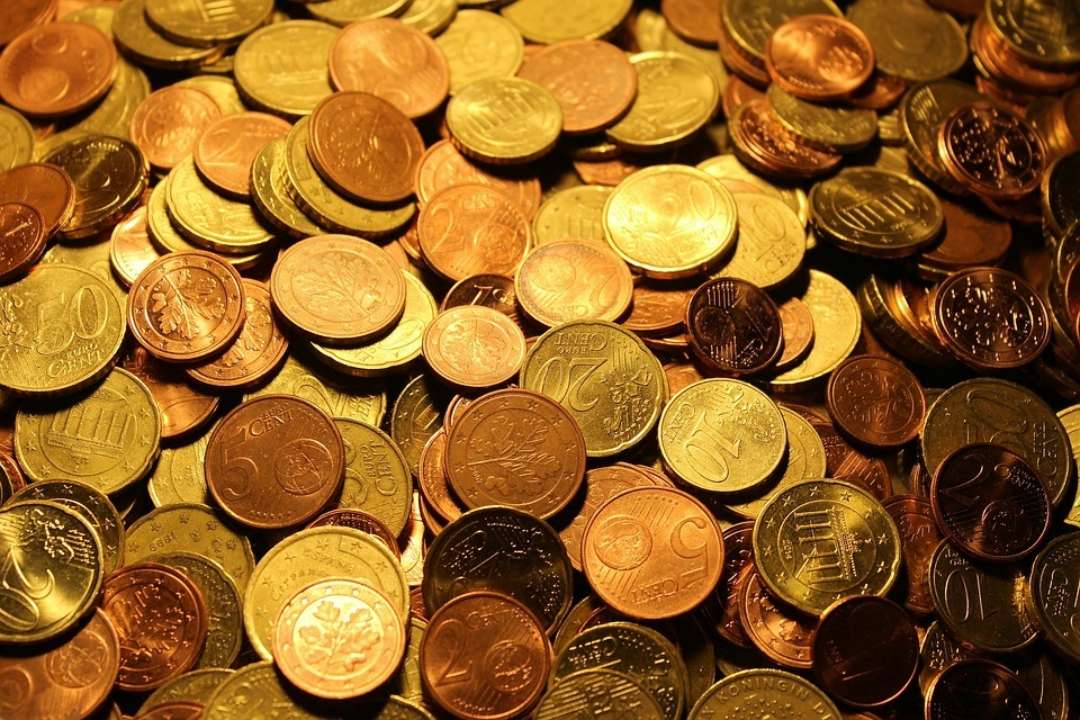 Как привлечь богатство в дом: 6 предметов, которые стоит иметь в доме