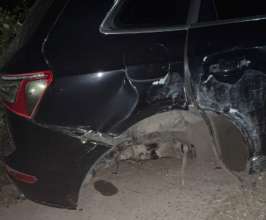 Фото: Facebook/ЗупиниЛося Мало не збила людей і не приземлилася у воду: у Києві п'яна суддя влаштувала страшну ДТП