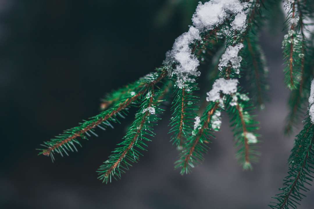 Прогноз погоди в Україні на 31 грудня 2022/Фото: Unsplash