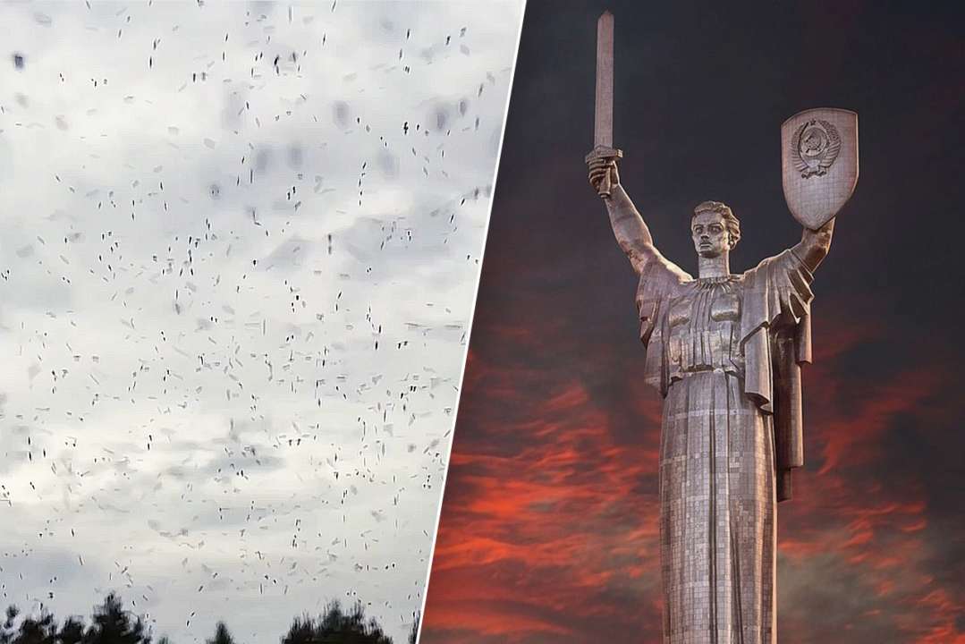 Жителів Києва атакують люті мошки, після яких проявляються неприємні симптоми / Фото: Колаж meta.ua Жителів Києва атакують люті мошки, після яких проявляються неприємні симптоми / Фото: Колаж meta.ua