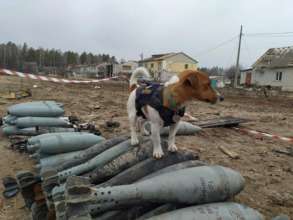 Псу Патрону зовсім не сподобався новий мультфільм про нього. Фото: Twitter Єшкін Крот Мультфільм про пса Патрона