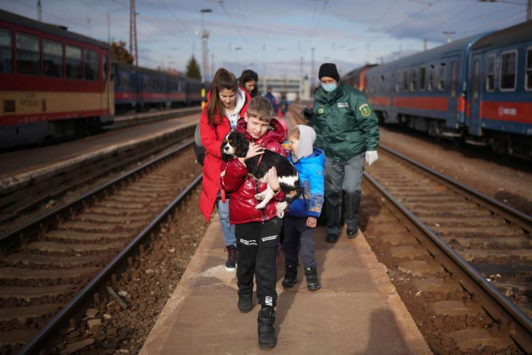 Новые правила ввоза животных в Польшу/Фото: Getty Images Новые правила ввоза животных в Польшу/Фото: Getty Images