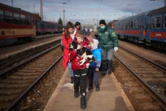 Нові правила ввезення тварин до Польщі/Фото: Getty Images Нові правила ввезення тварин до Польщі/Фото: Getty Images