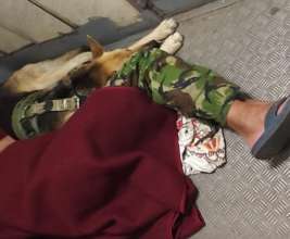 Военный с овчаркой должен был спать в тамбуре поезда, – соцсети/Фото: Екатерина Белозерова Facebook Военный с овчаркой должен был спать в тамбуре поезда, – соцсети/Фото: Екатерина Белозерова Facebook