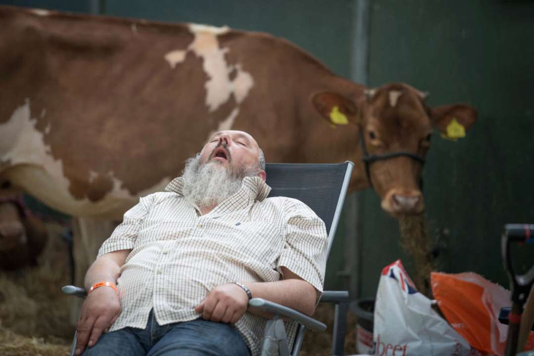 Длительный сон может сигнализировать об опасных болезнях — исследование