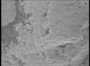 Фото: NASA Марс