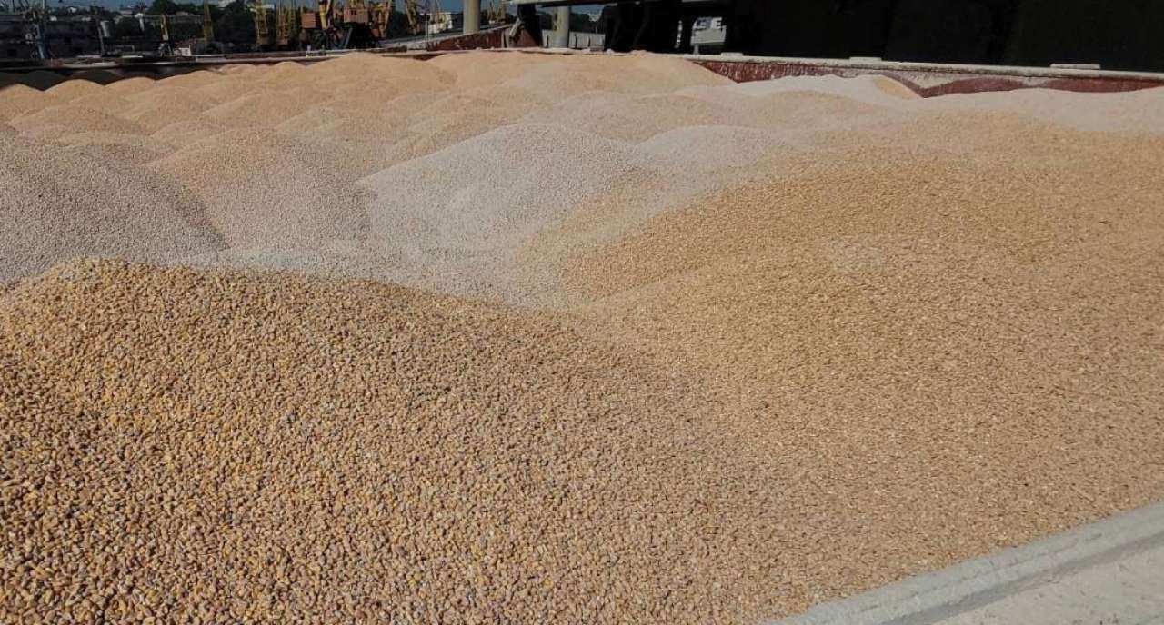 З українських портів за вихідні відправили 360 тисяч тонн агропродукції