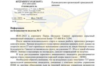 Данные ГУР о состоянии гражданской авиации рф/Фото: ГУР Данные ГУР о состоянии гражданской авиации рф/Фото: ГУР