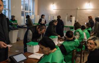 Голова комітету Верховної Ради з питань зовнішньої політики і міжпарламентського співробітництва Олександр Мережко назвав, чому вибори у Грузії не варто вважати чесними. Фото: GettyImages/Автор - Diego Fedele вибори грузії