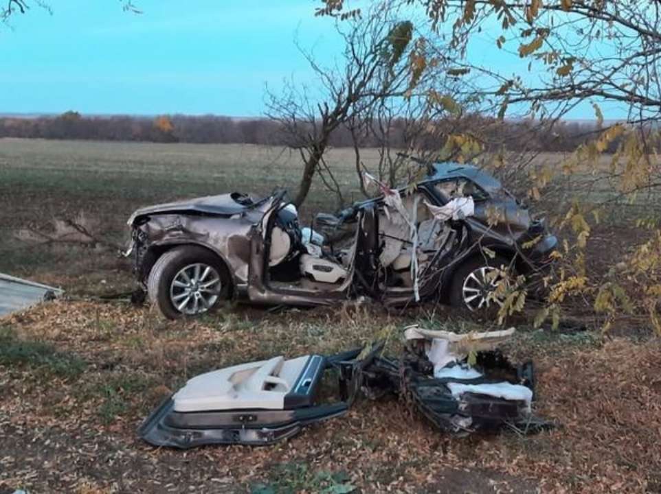 В Херсонской области 15-летний парень на автомобиле Volkswagen на большой скорости врезался в дерево