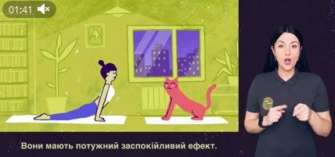 Про практику вдячності і як вона може допомогти розповідається в 6 серії відеороликів Про практику вдячності і як вона може допомогти розповідається в 6 серії відеороликів
