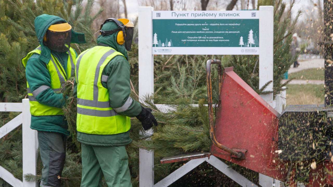 У Києві запрацюють пункти прийому новорічних дерев / Фото: t.me/KyivCityOfficial У Києві запрацюють пункти прийому новорічних дерев / Фото: t.me/KyivCityOfficial