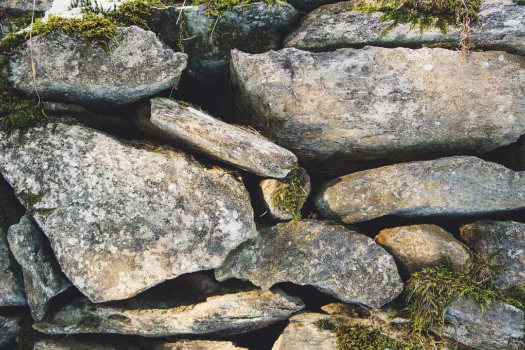 Школьница случайно нашла тысячелетнюю реликвию / Фото Unsplash Школьница случайно нашла тысячелетнюю реликвию / Фото Unsplash