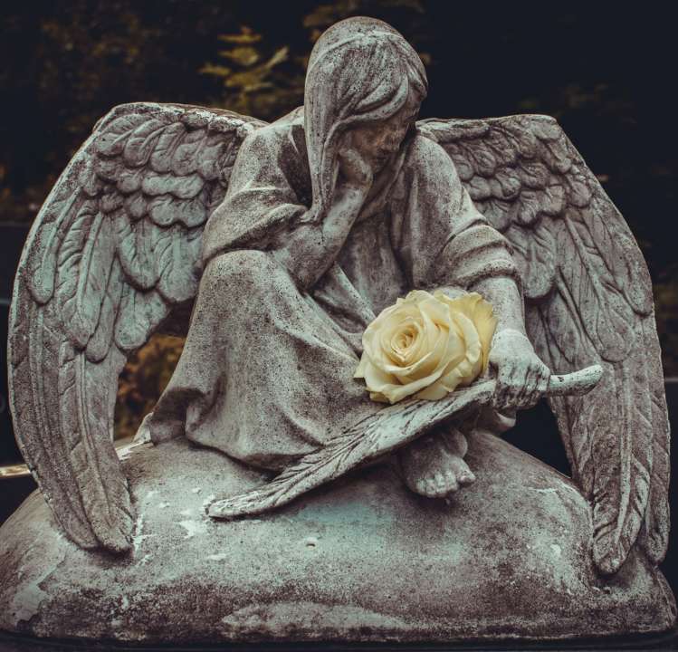 Хто святкує іменини 14 вересня/Фото: Unsplash