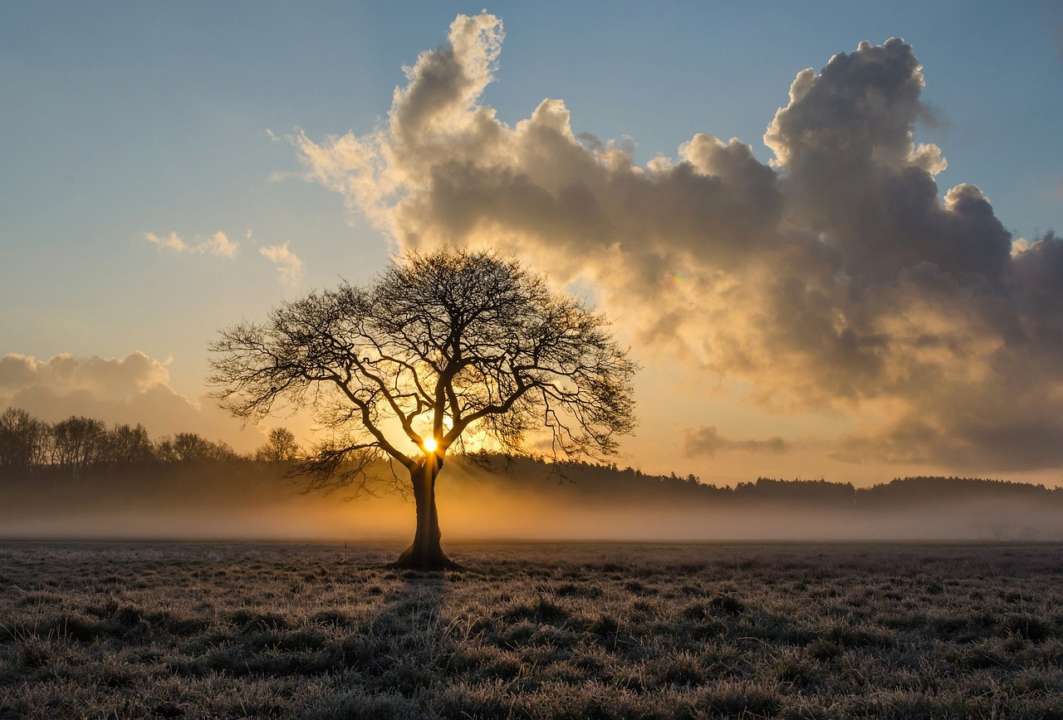 Приметы на 9 октября / Фото: Pixabay Запоминайте свои сны: приметы на 9 октября