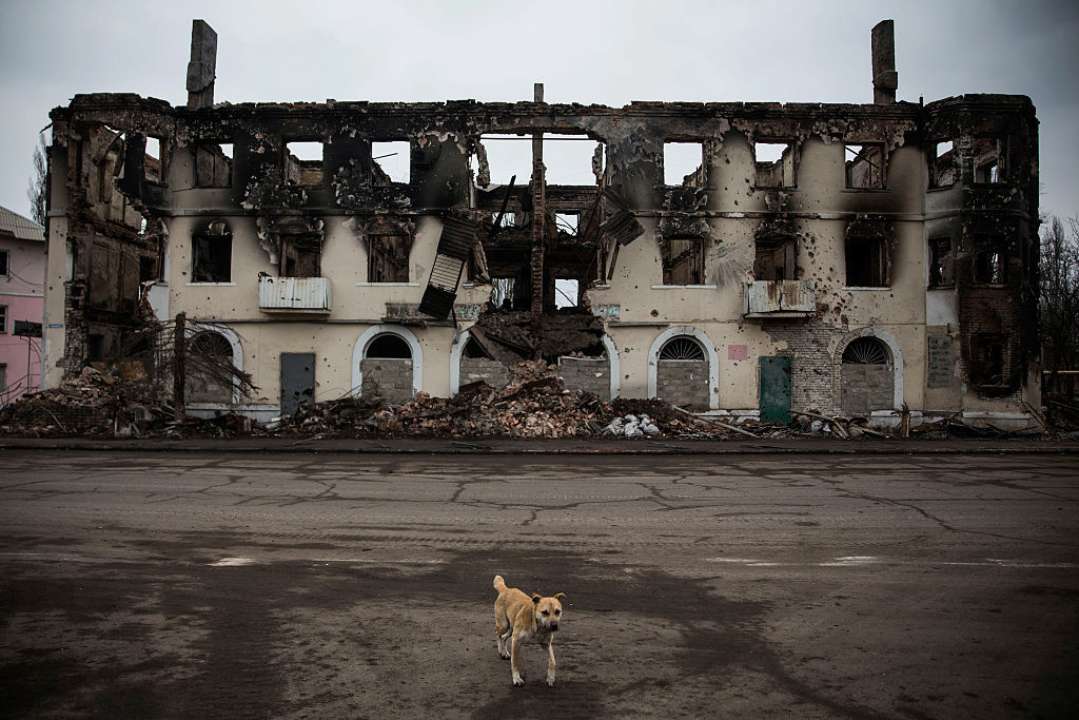 Сколько гражданских погибло в Украине во время войны/Фото: Getty Images Война