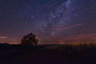 Гороскоп для всіх знаків Зодіаку на 1 червня 2022/Фото: Unsplash Гороскоп для всіх знаків Зодіаку на 1 червня 2022/Фото: Unsplash