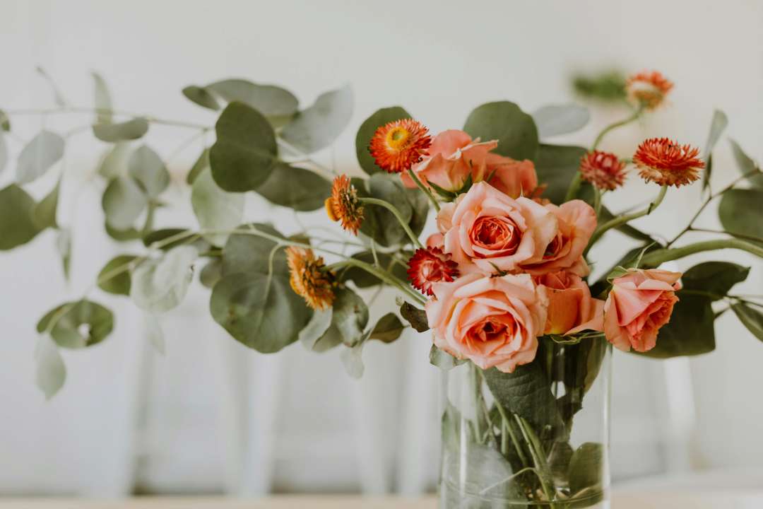 С Днем ангела Инны/Фото: Unsplash