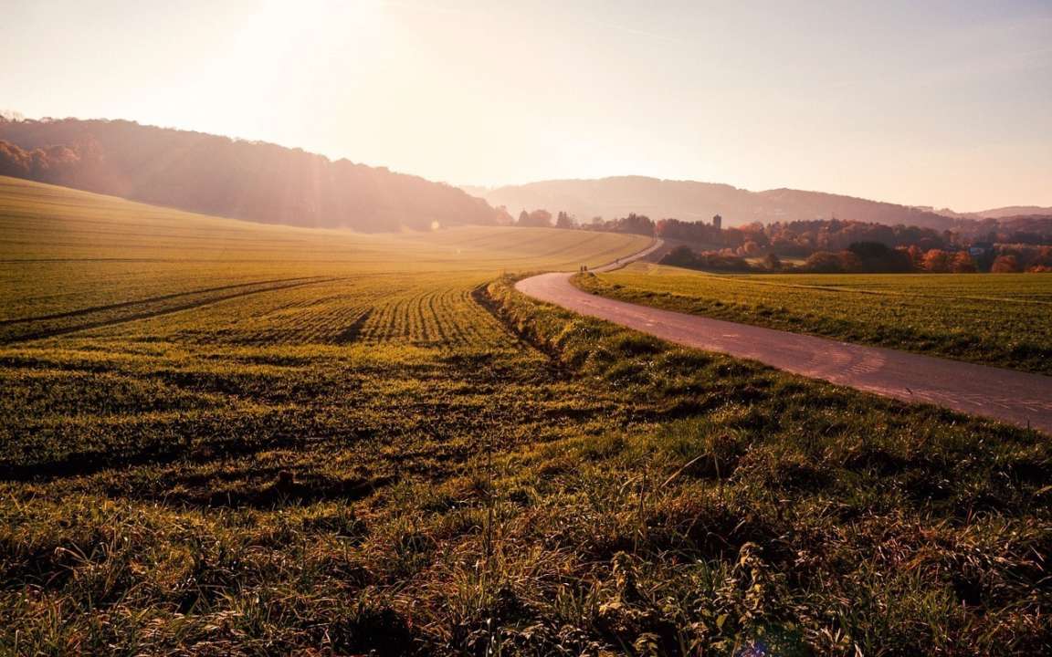 (Фото: Pixabay / Автор - невідомий) Землю в Україні можна буде продати через інтернет