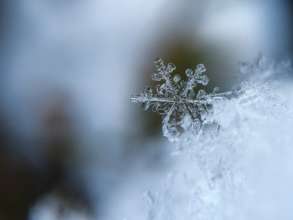Фото:Pixabay/Автор- Free-Photos Погода на сьогодні: у більшості областей сонячно, подекуди заморозки до -3°