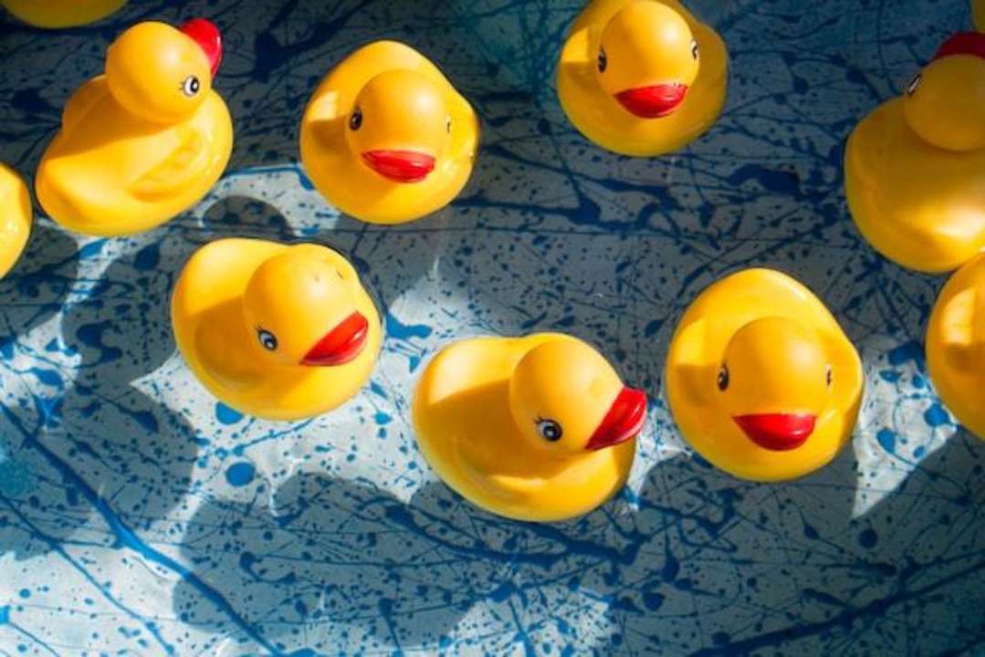 Резиновые утки на воде