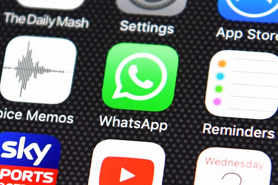Новая функция WhatsApp уже доступна в Украине / Фото: Carl Court/Getty Images