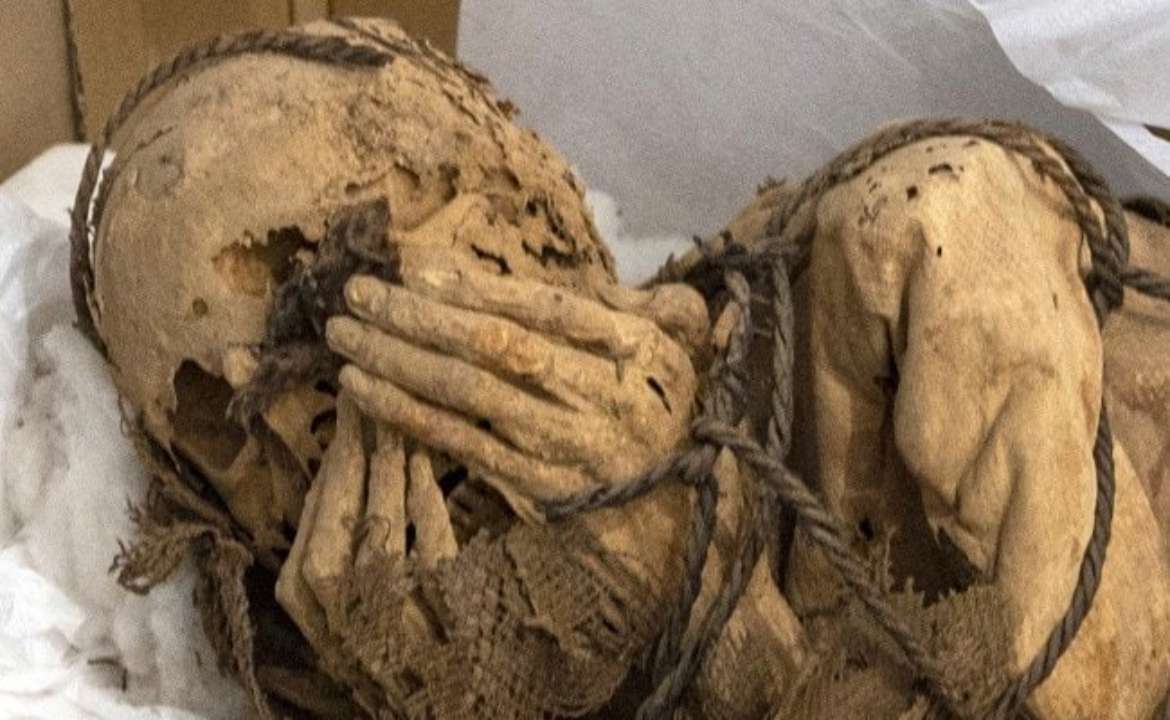 В Перу полицейские изъяли у мужчины 800-летнюю мумию, которую он называл своей подругой/Фото: @ndtvfeed/Tweeter Перуанская мумия