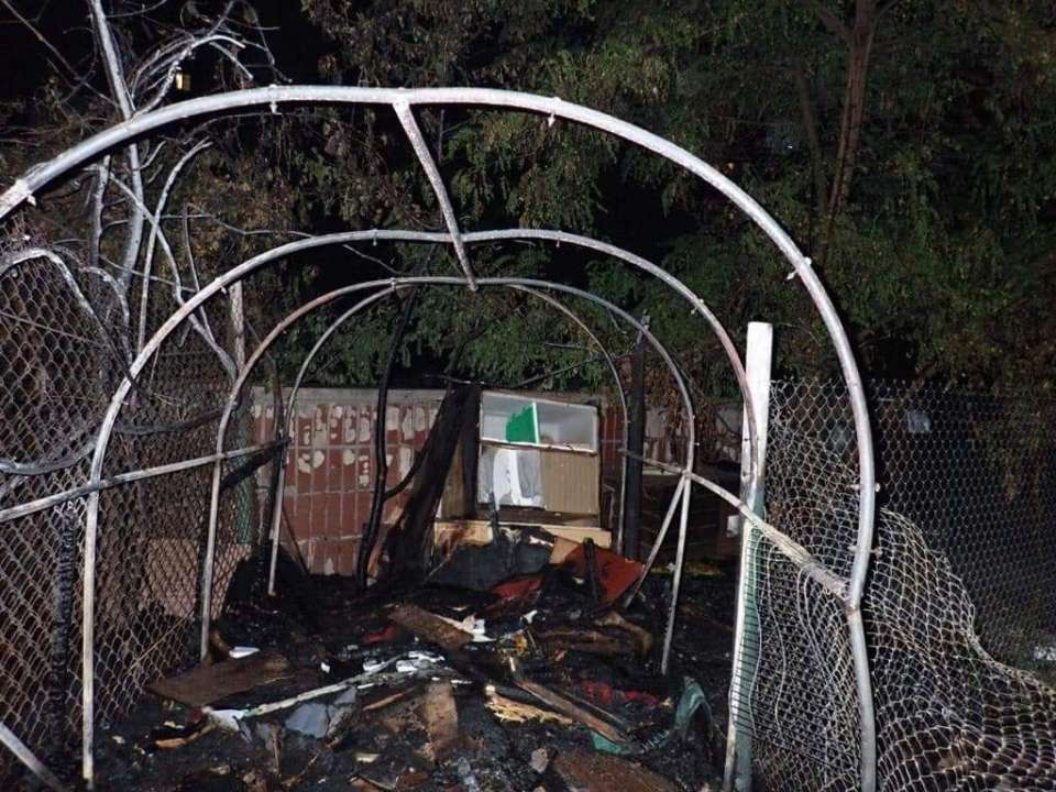 В Киеве горел приют для животных В Киеве горел приют для животных: полиция расследует дело