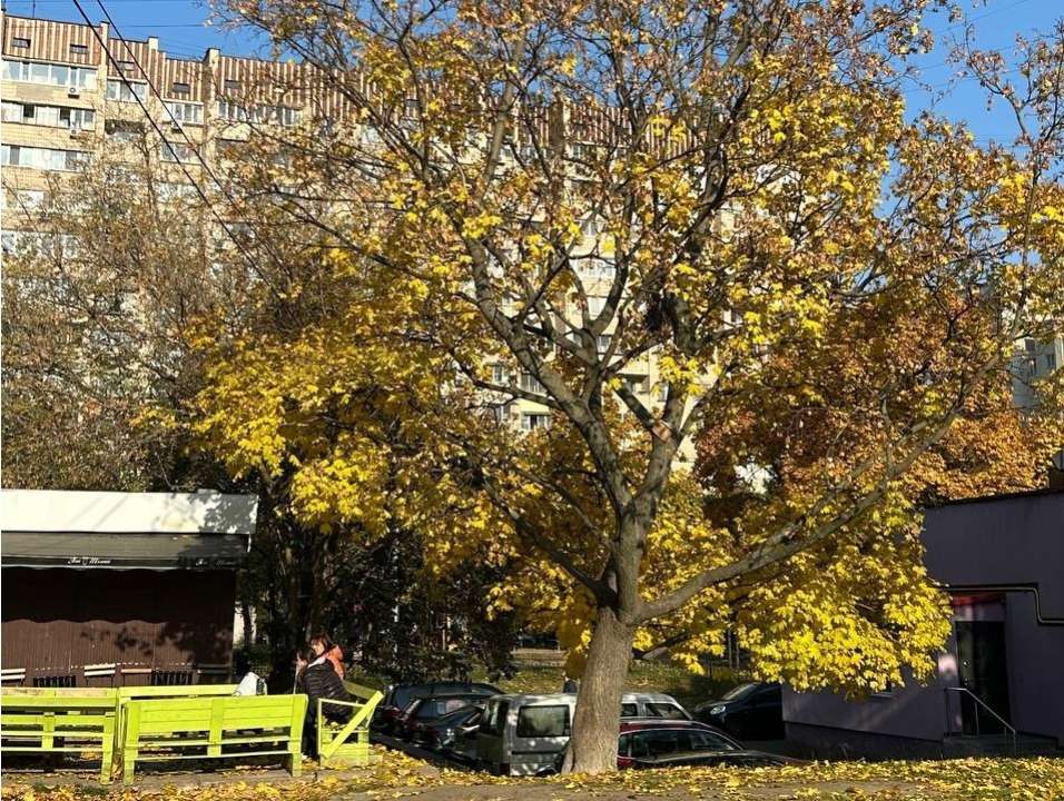 Во второй половине недели практически повсеместно в Украине ожидается усиление ветра Во второй половине недели практически повсеместно в Украине ожидается усиление ветра