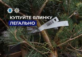 В МВД напомнили, как найти легальную ярмарку с елками / Фото: t.me/mvs_ukraine В МВД напомнили, как найти легальную ярмарку с елками / Фото: t.me/mvs_ukraine