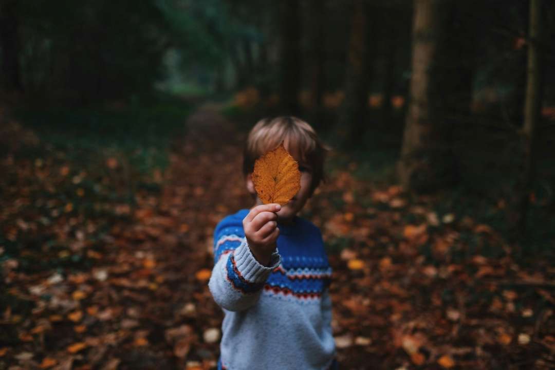 Хто святкує день ангела 20 листопада/Фото: Unsplash
