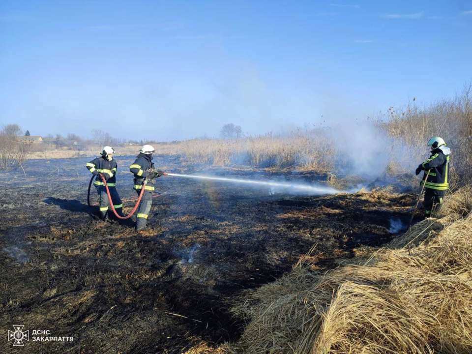 На Закарпатье и Львовщине из-за сжигания сухой травы погибли люди