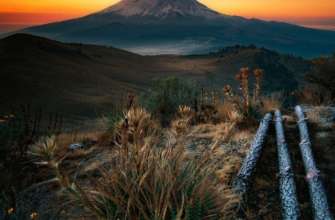 Sony представила кращі знімки з різних куточків світу Sony представила кращі знімки з різних куточків світу