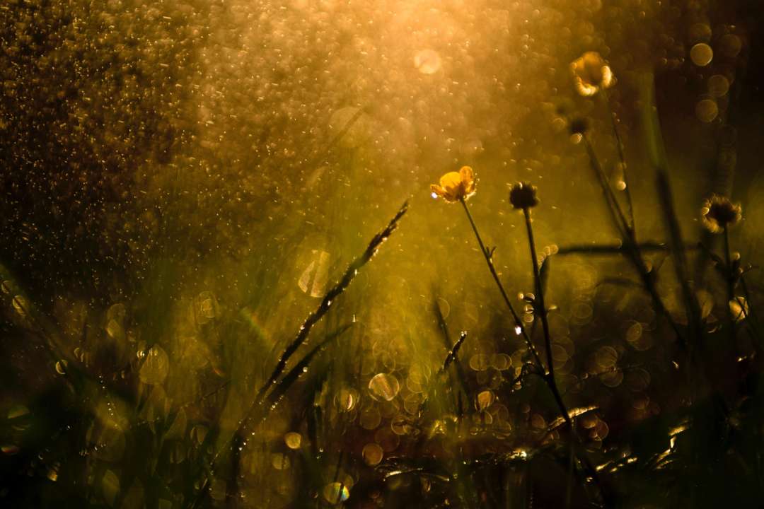 Прогноз погоди в Україні на 22 березня 2023/Фото: Unsplash Прогноз погоди в Україні на 22 березня 2023/Фото: Unsplash