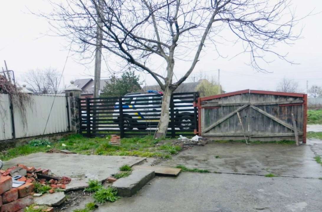Труп собаки направлен на проведение экспертизы Труп собаки направлен на проведение экспертизы